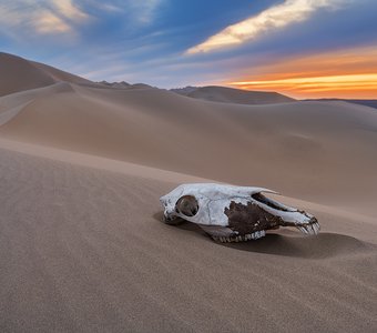 Закат в песках