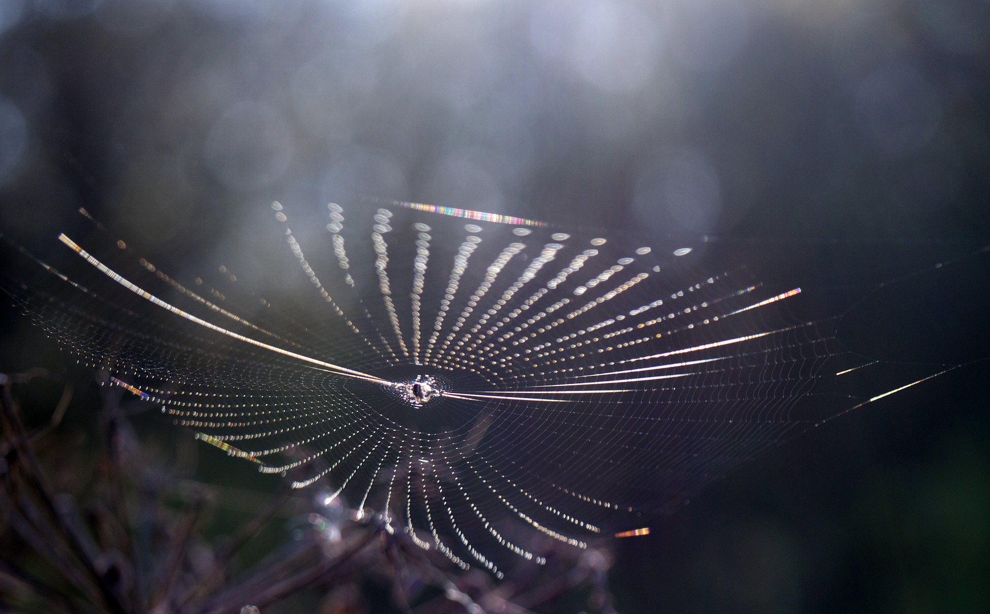 Летающая тарелка.