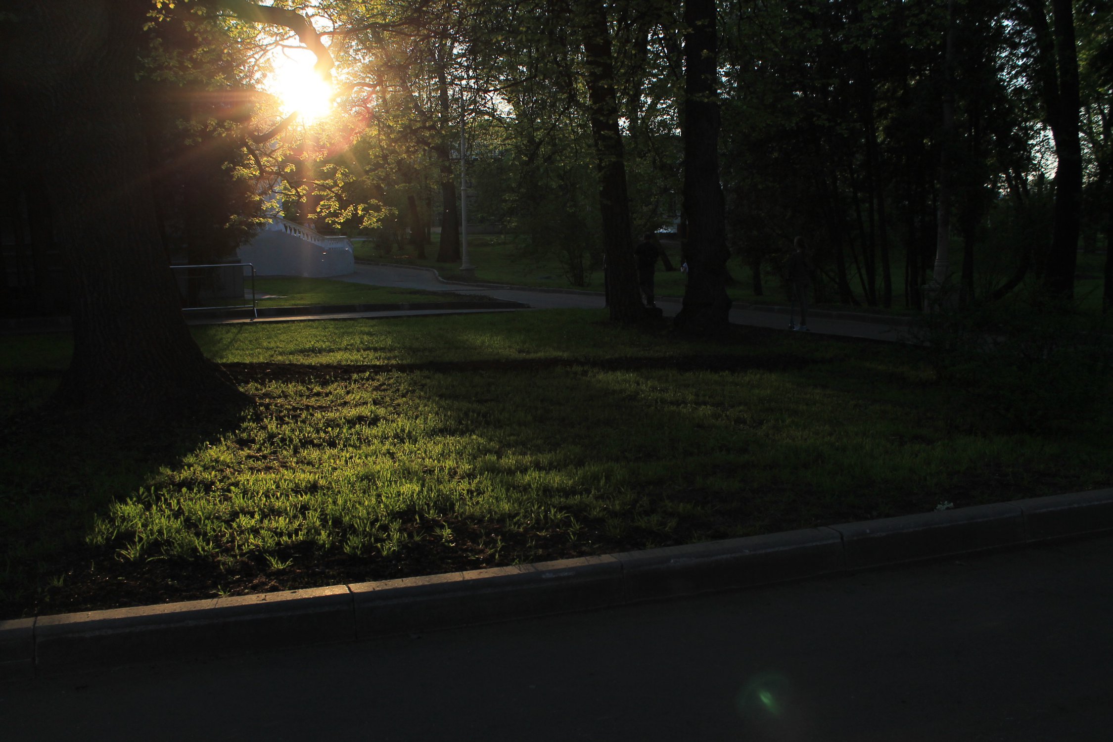 Мы любим свет и солнце настолько, насколько любим жизнь !