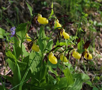 Нам с тобой