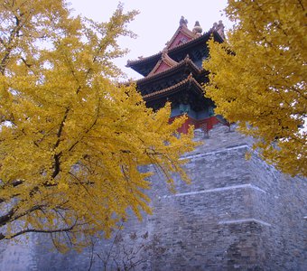 Золотой Пекин