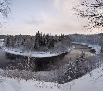 Большой Аранец зимний