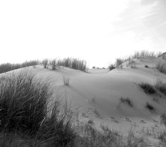 "Сон в дюнах": Диптих
