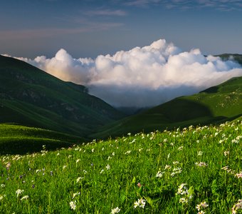 Альпийские луга Чечни