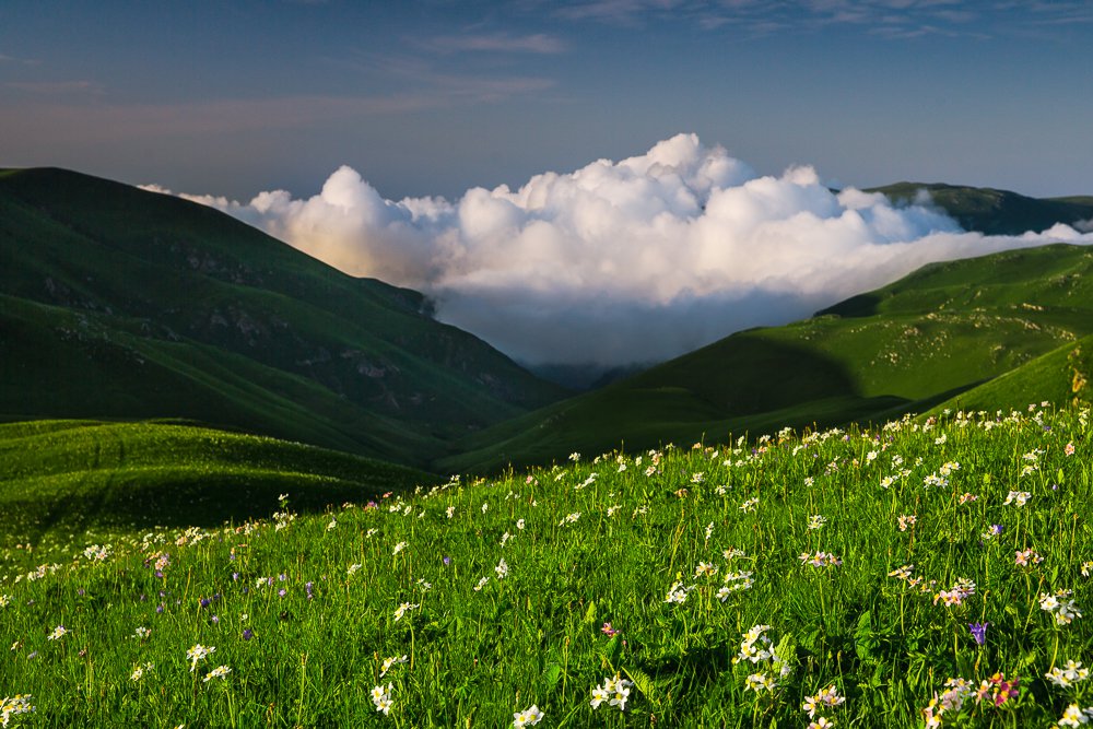 Альпийские луги. Альпийские Луга Северного Кавказа. Субальпийские Луга Северного Кавказа. Луга Дагестана Альпийские Дагестана. Субальпийские Луга Дагестана.