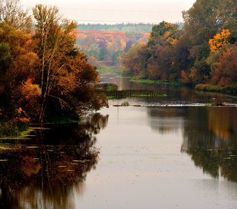 Осень река Сейм