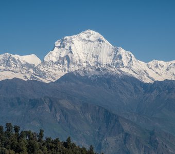 Гора Дхаулагири