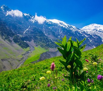 Красота северного Кавказа