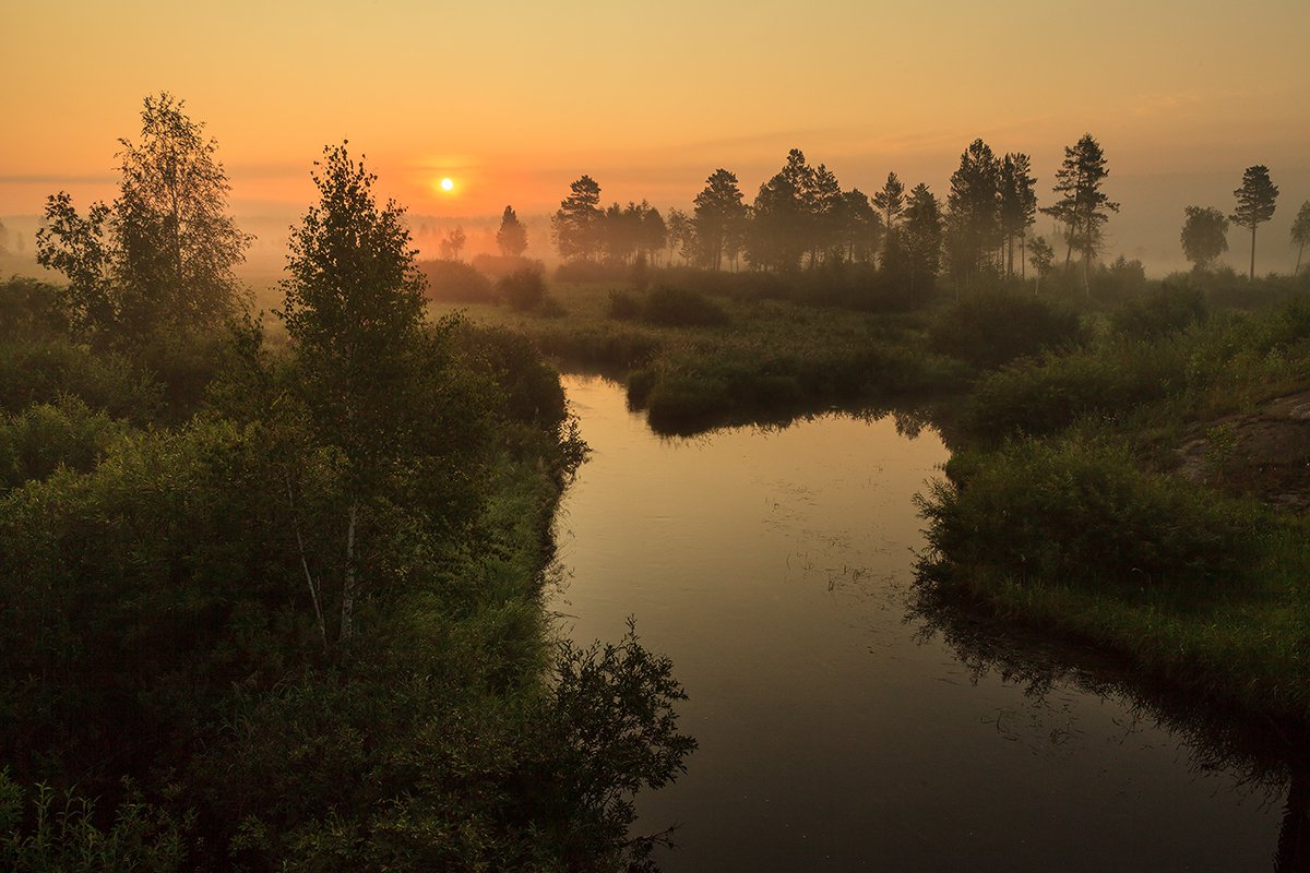 Там за туманами