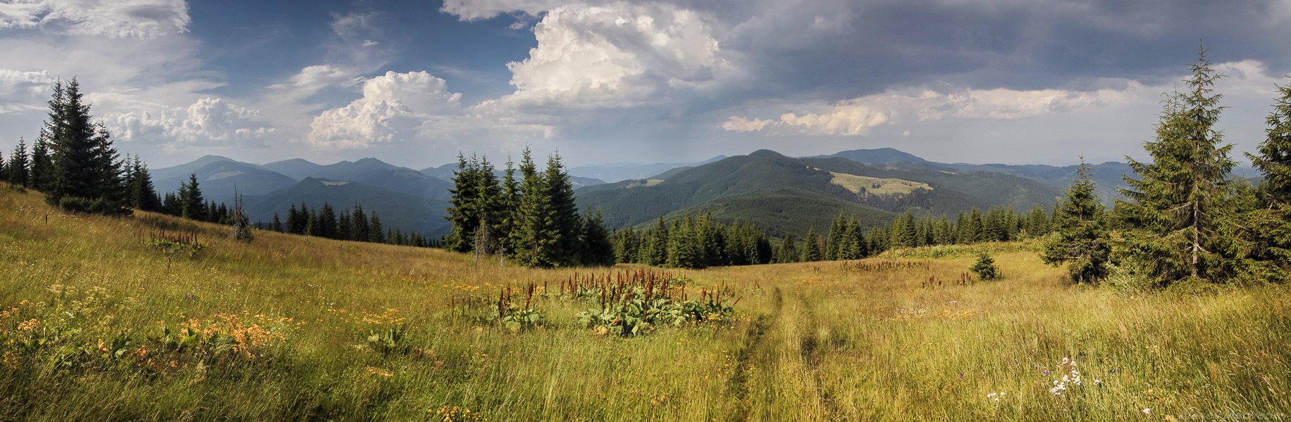 Galya-Lukovica