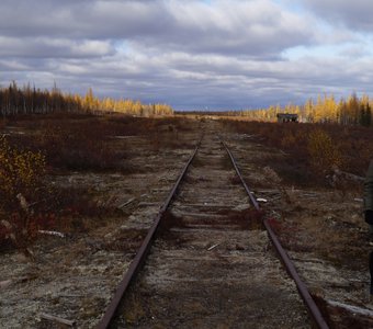 Дорога в никуда. Мертвая дорога.