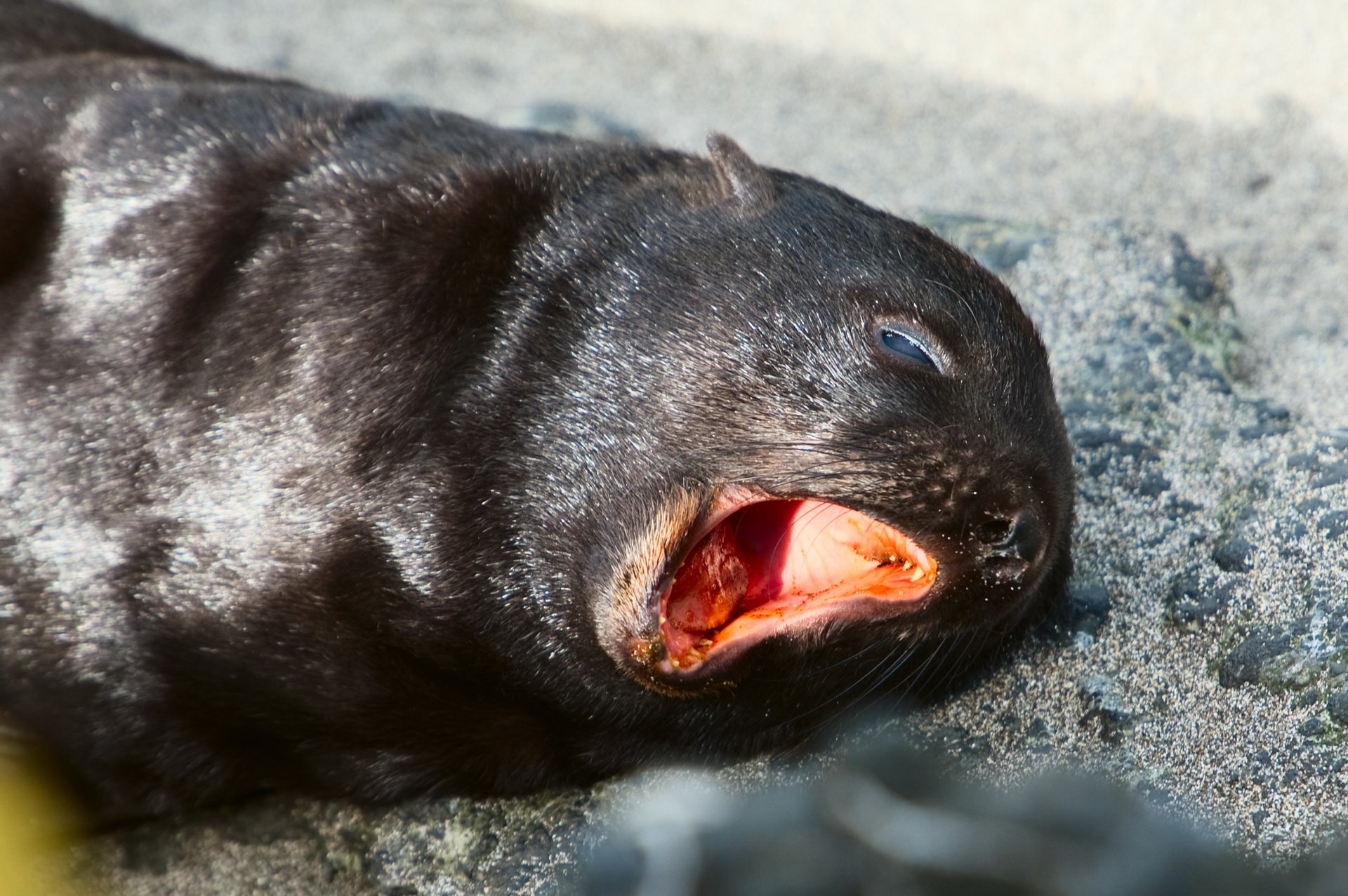 Доброе утро!