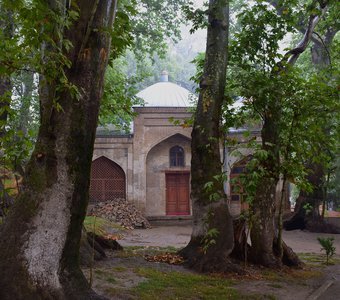 Мечеть среди вековых чинар.