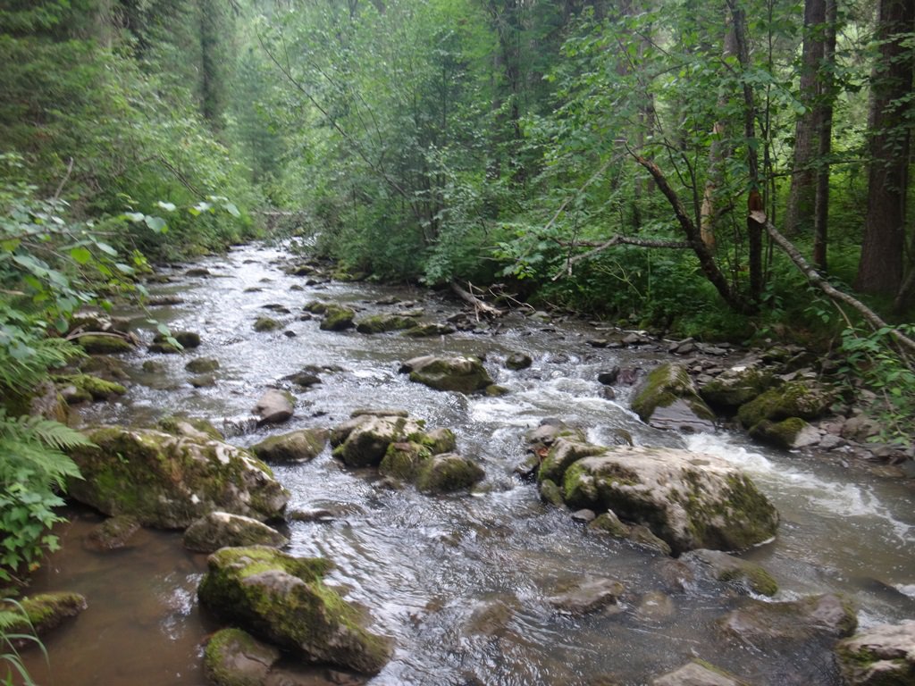 Вниз по волшебной реке