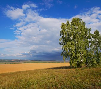 Перед грозой