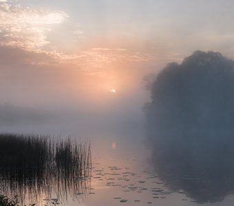 Туманный рассвет на Угре реке