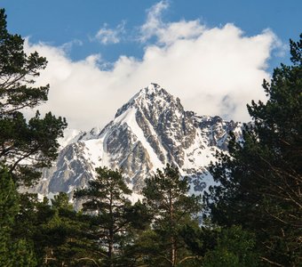 Вершины Кавказа