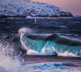 Баренцево море