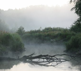 Утро на реке Бужа