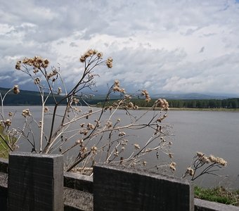 Сельская пастораль...