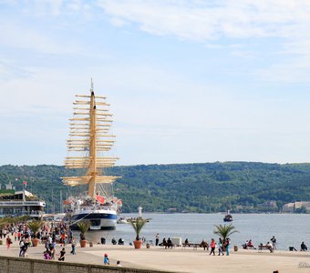 Royal Clipper