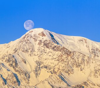 На плечах Куркурека