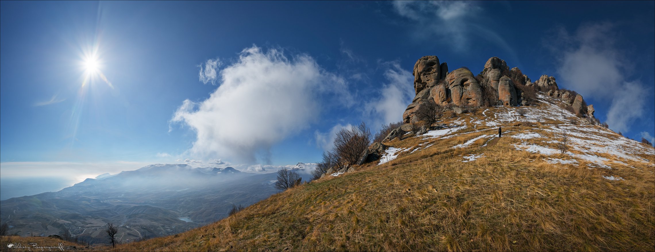 Демерджи лучистое