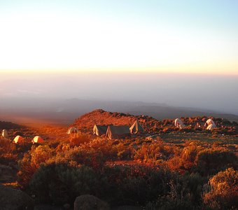 Рассвет на Килиманджаро.