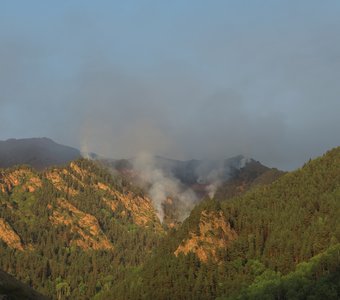 Лесные пожары в горах