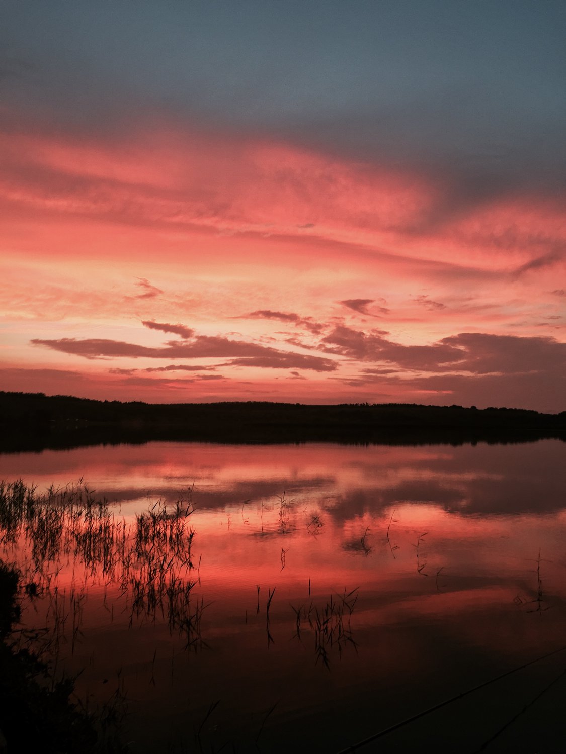 Красота в закате