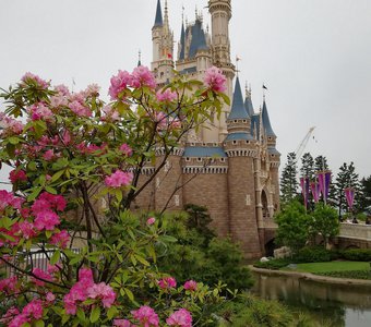 Замок Золушки в цветах