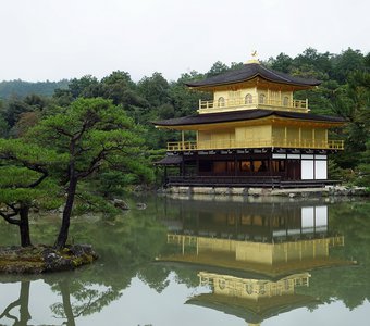Золотой павильон (Кинкакудзи). Киото.