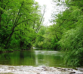 Красавица-река Абин