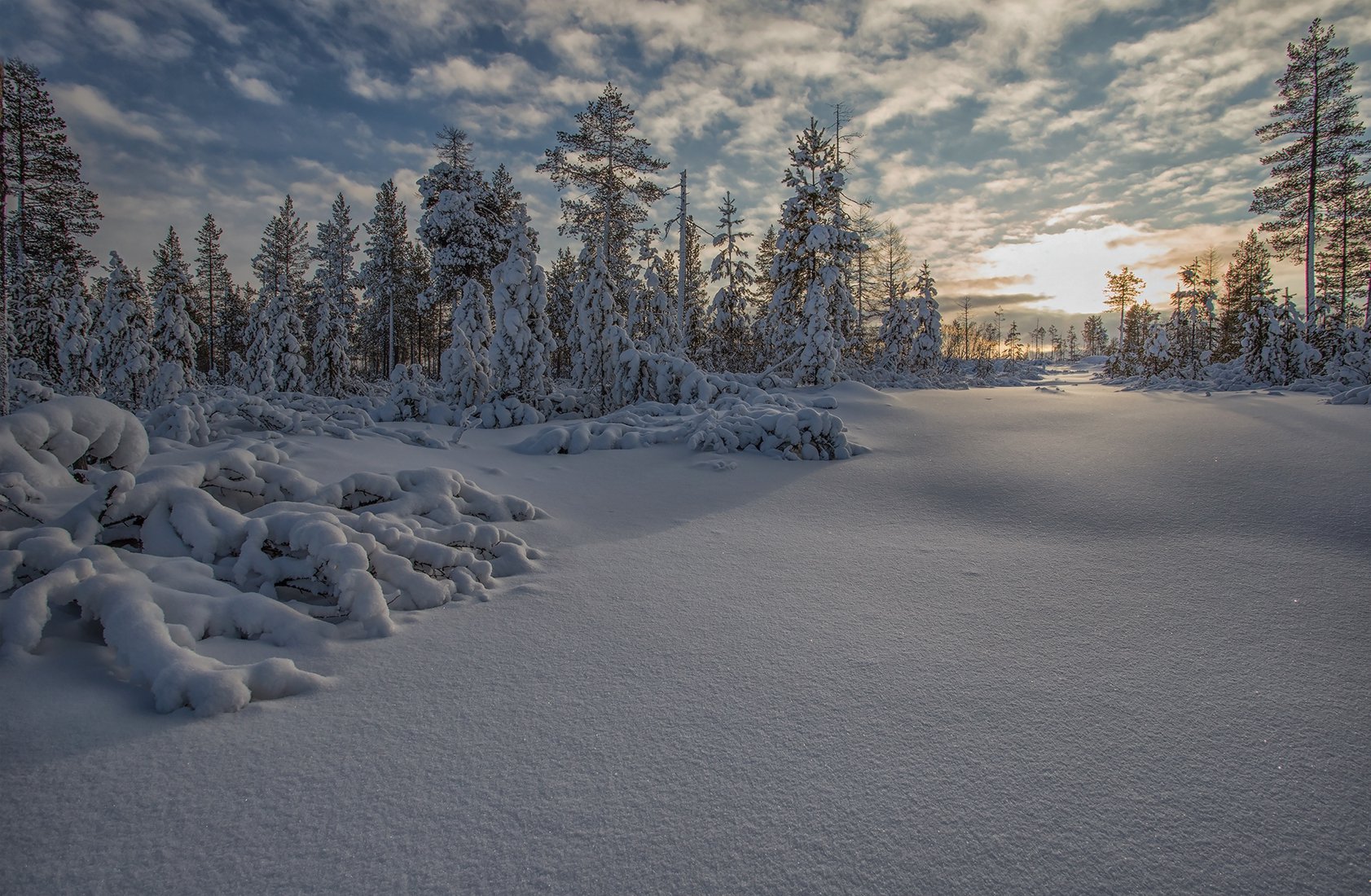 Якутия зимой. Природа Якутии зимой. Якутия природа зима. Якутская природа зимой.