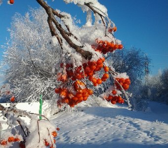 Насыщенность цветов