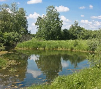 Короткое сибирское лето.