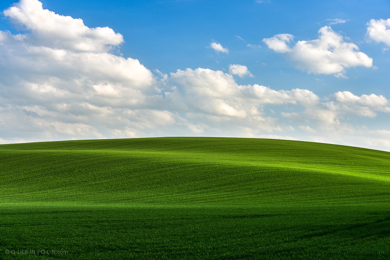 Pole to win. Поле виндовс 7. Зеленое поле. Поле Windows XP.