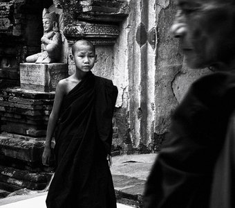 Novice Monk