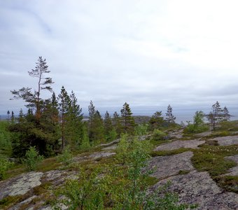 Карельские леса