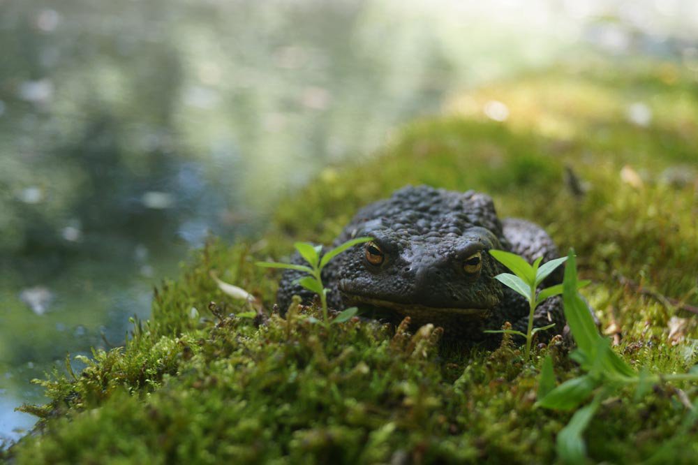 Задумалась
