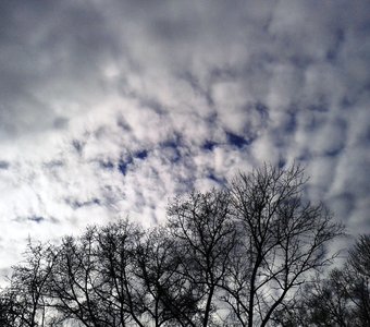 Небо над новгородским Холмом