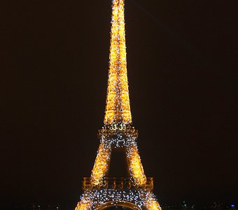 Парижская красавица ночью