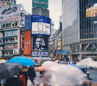 перекресток Сибуя, Токио, Япония