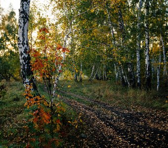 Осень в Зауралье