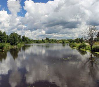 Облака-нарциссы