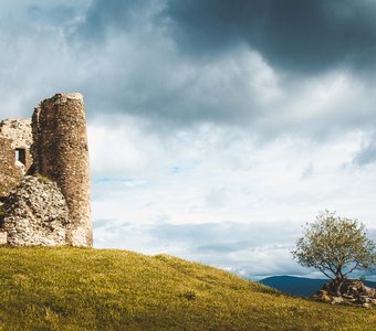 В гордом одиночестве