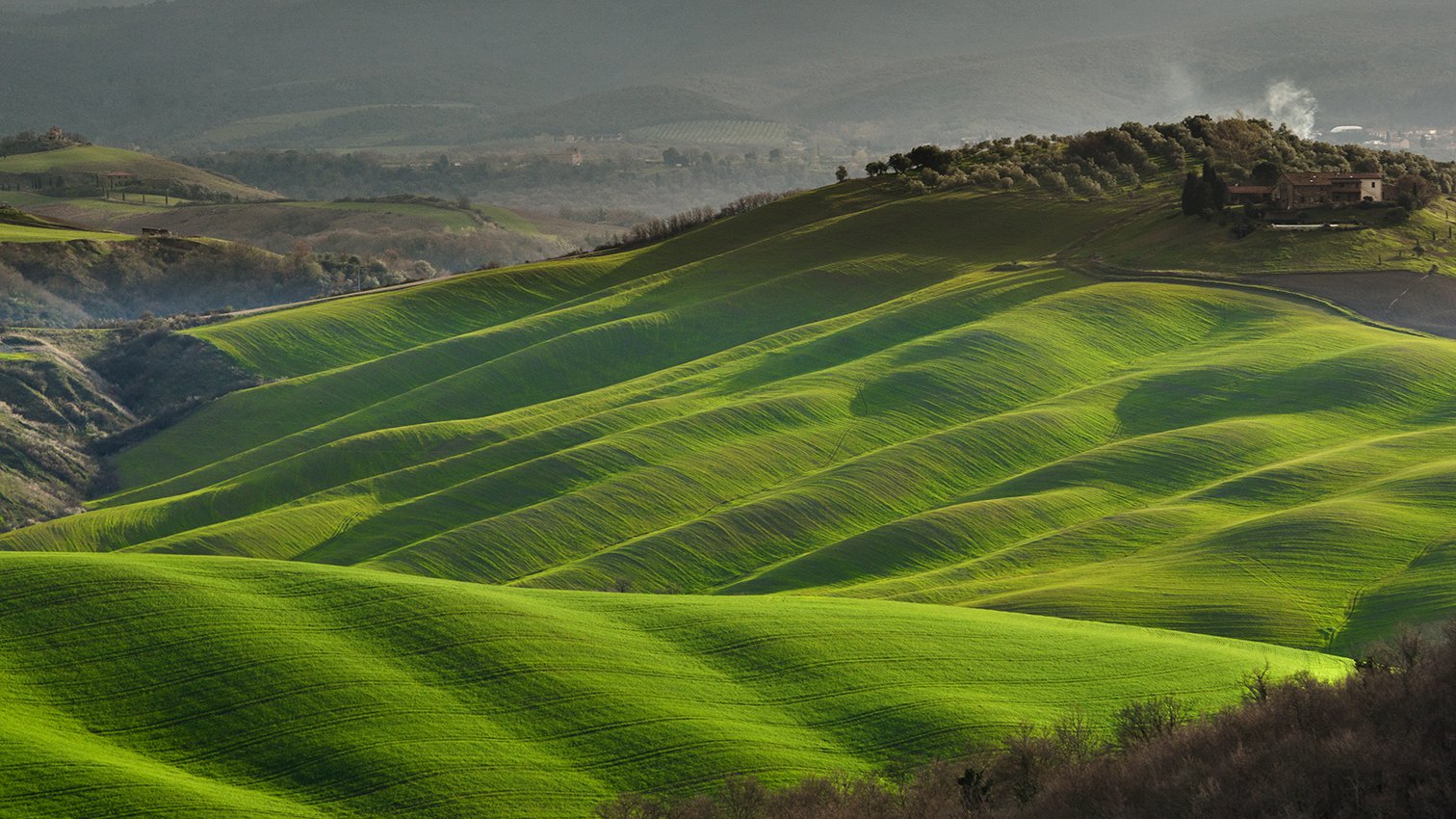 Зелные поля Тосканы
