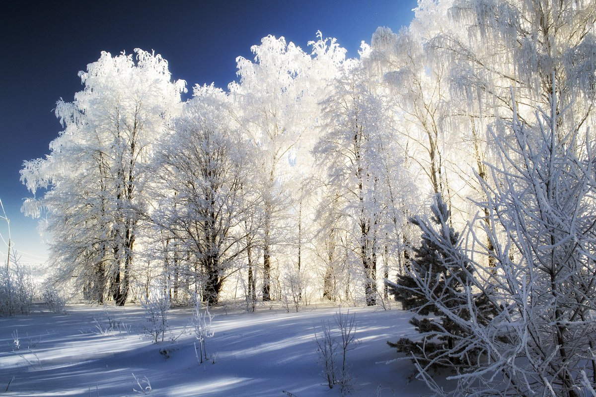 Зимушка зима - 142 фото