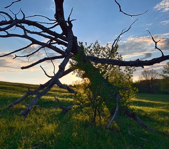 Закат на лугу для выпаса.