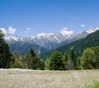 Кавказские Альпы